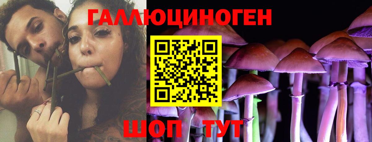 Ижевск  Псилоцибиновые грибы мицелий  Псилоцибиновые грибы мухоморы  Вход с VPN 