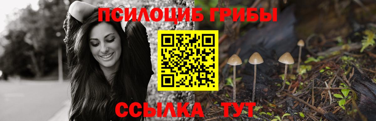 Галлюциногенные грибы Psilocybine cubensis Ижевск