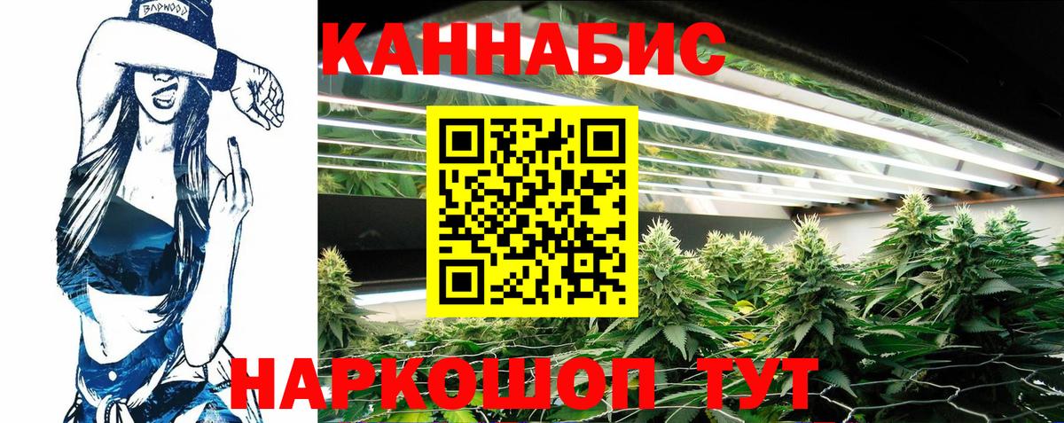 Ижевск  Канабис SATIVA & INDICA  Вход с VPN  Шишки марихуана гибрид  Канабис ГИДРОПОН 